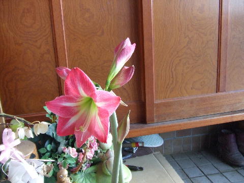 花.JPG