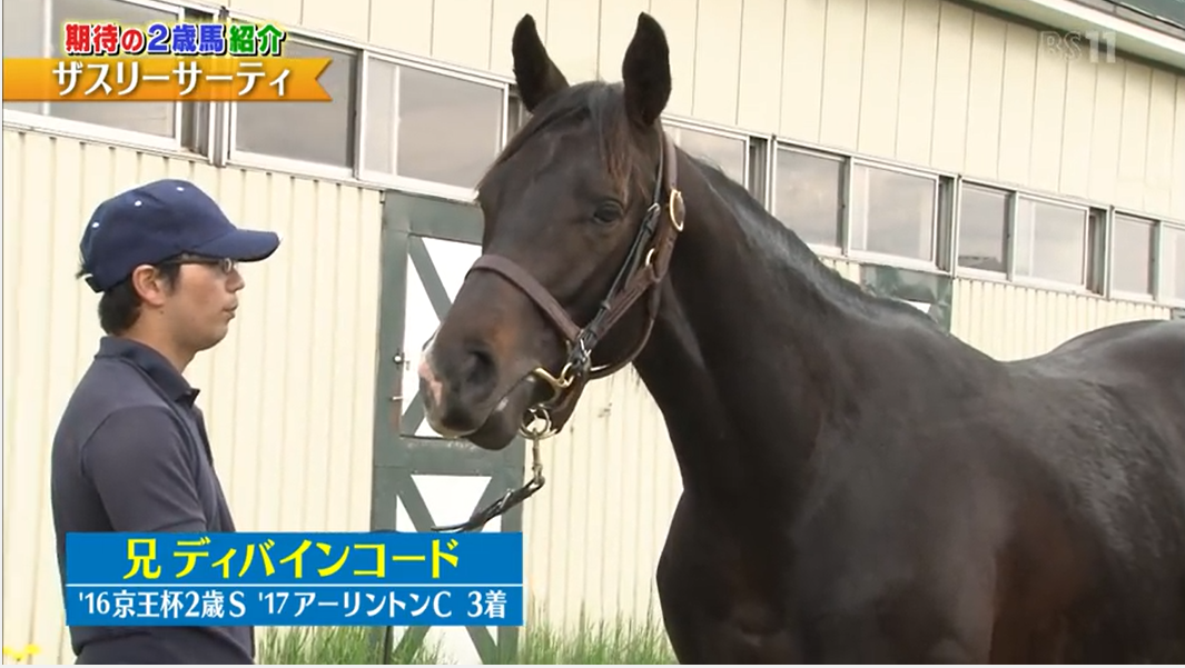 2ページ目の 出資馬 ディバインコードその1 ミノルロドリゴの一口馬主ブログ 楽天ブログ