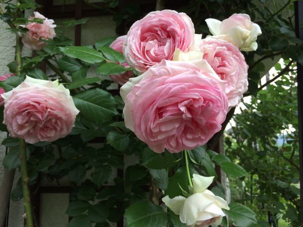 rblog-20170524233045-08.jpg