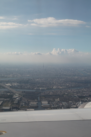 IMG_8886_1.JPG