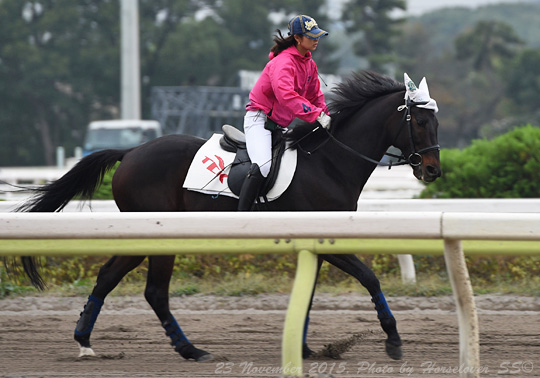 20151123_1417BonnevilleRecord_08