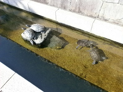 東海道広重美術館