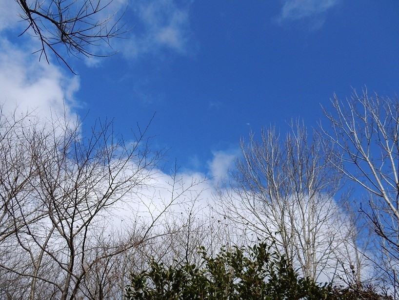 空3.JPG