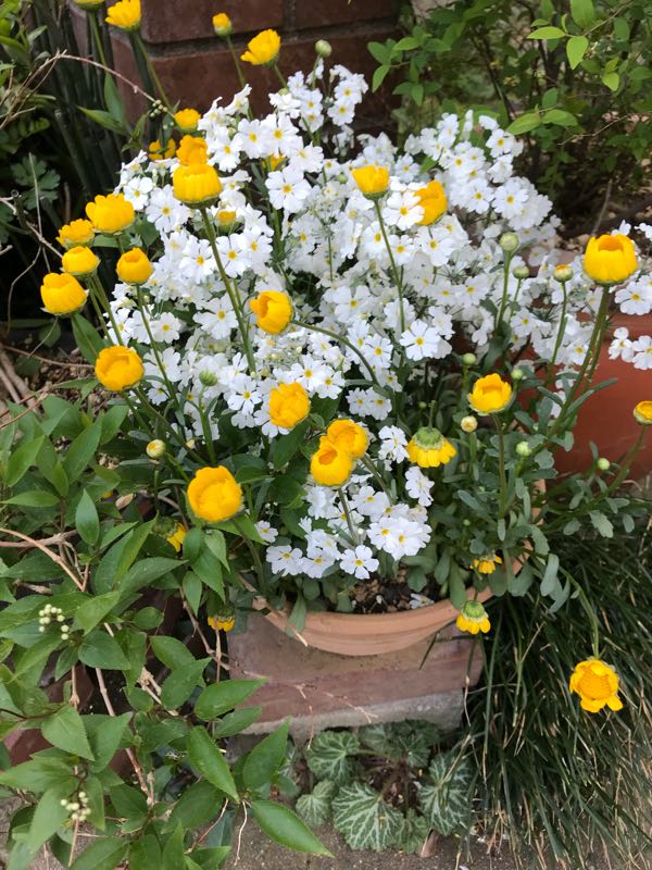 rblog-20180408181528-09.jpg
