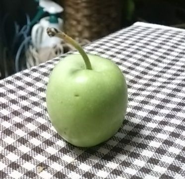 青いリンゴ