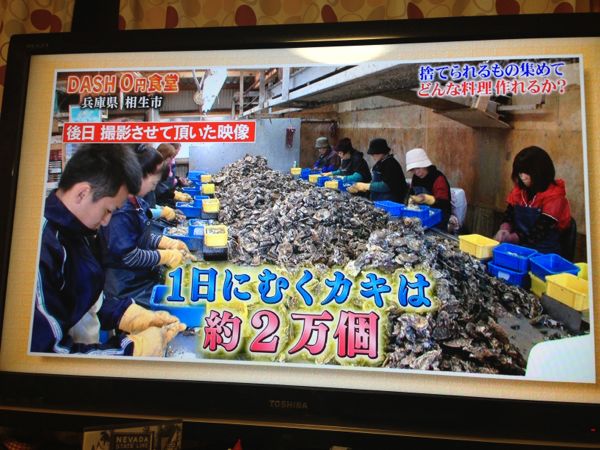 相生 牡蠣
