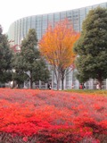 IMG_1564 s.jpg