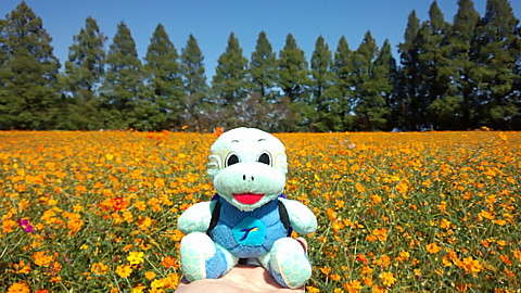 IMG_20131012_105358.jpg