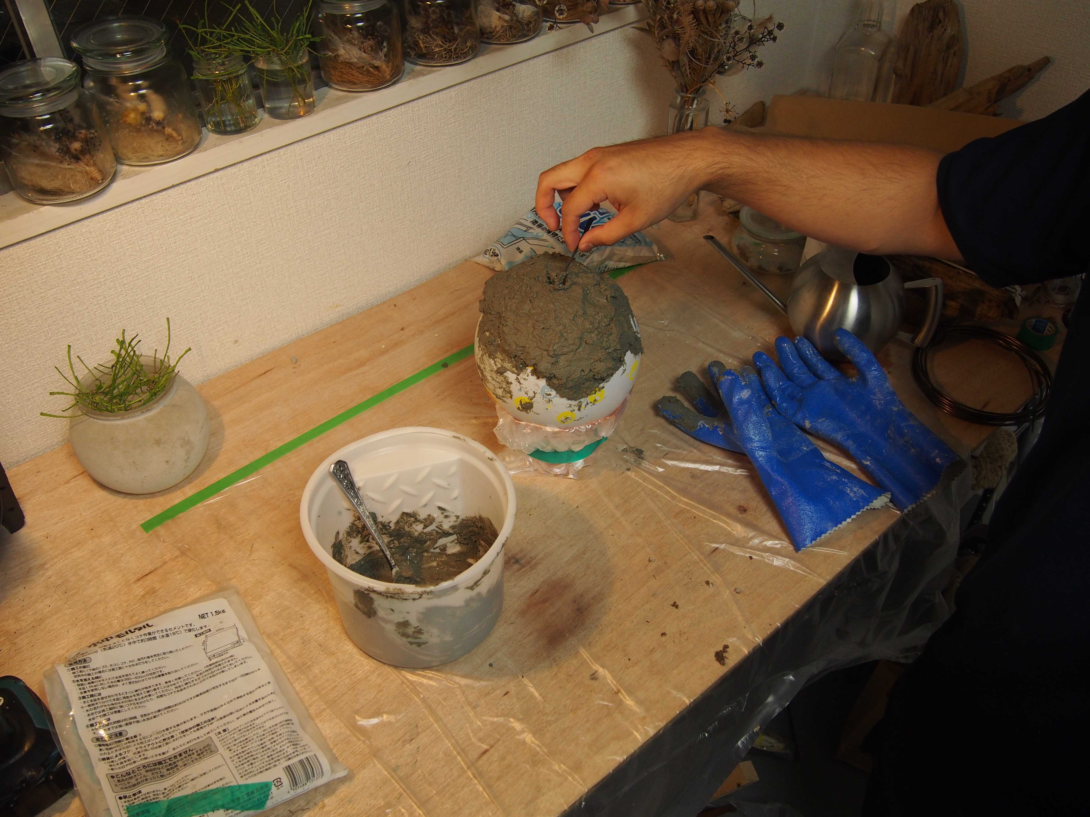 風船をつかったセメント鉢の作り方 をyoutubeにアップしました リプサリス ラムローサの植え替えも見れます 植物製造所 ラクマに出品するまでを紹介 楽天ブログ