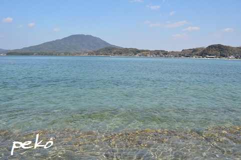 海