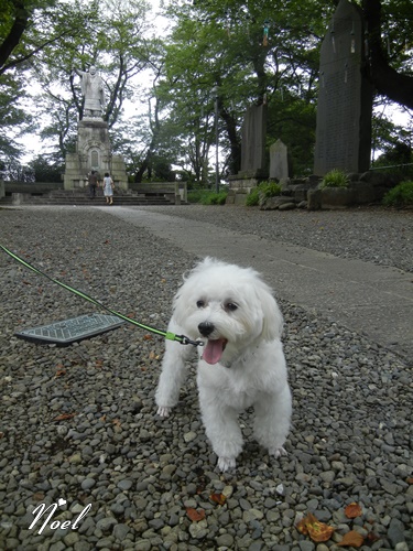 池上本門寺にて