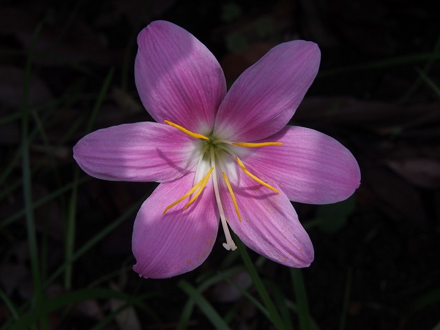 P7100016.jpg