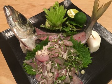161008アジタタキ