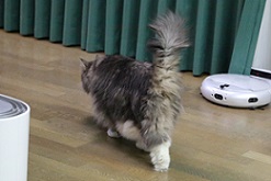 5DA_3386-29.jpg