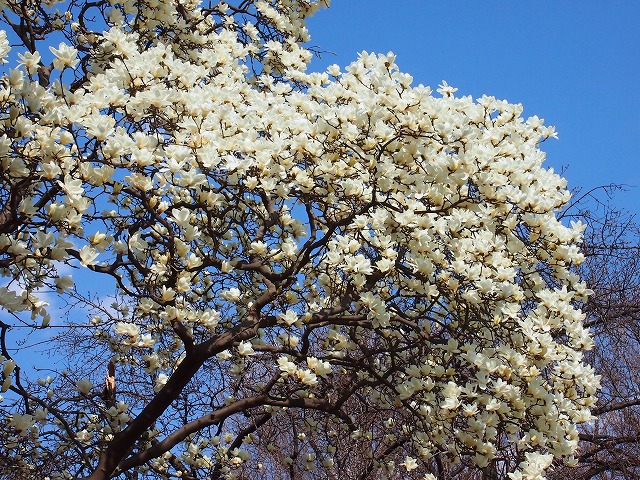 s-p1395.jpg