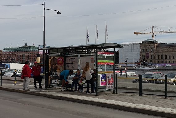 DSC00704sh2015.jpg