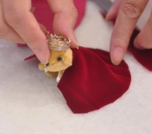 プリンスの戴冠式6