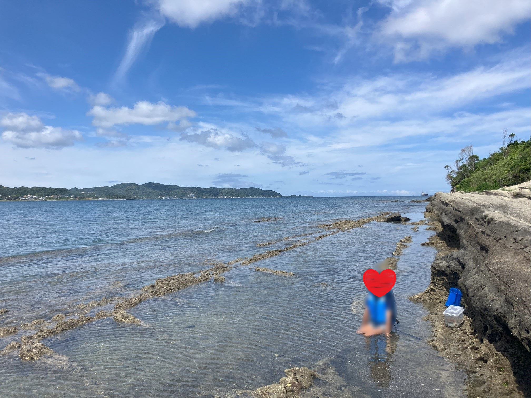 千葉県館山市沖ノ島　岩場で磯遊び