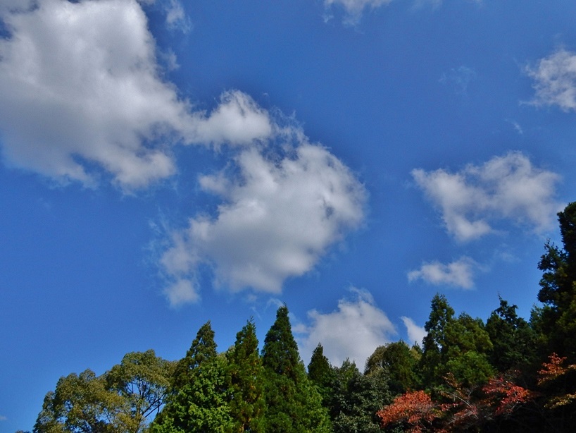 空2.JPG