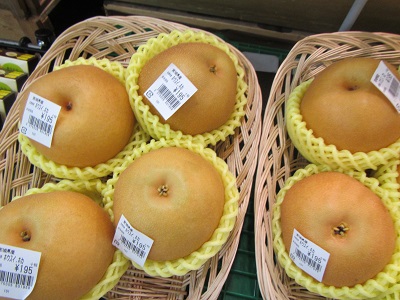 味覚ナシ.jpg