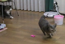5DA_4365-17.jpg