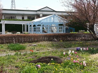 2015-04-17 13.34.37ss.jpg
