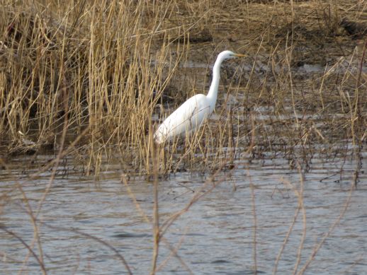 IMG_0020.JPG