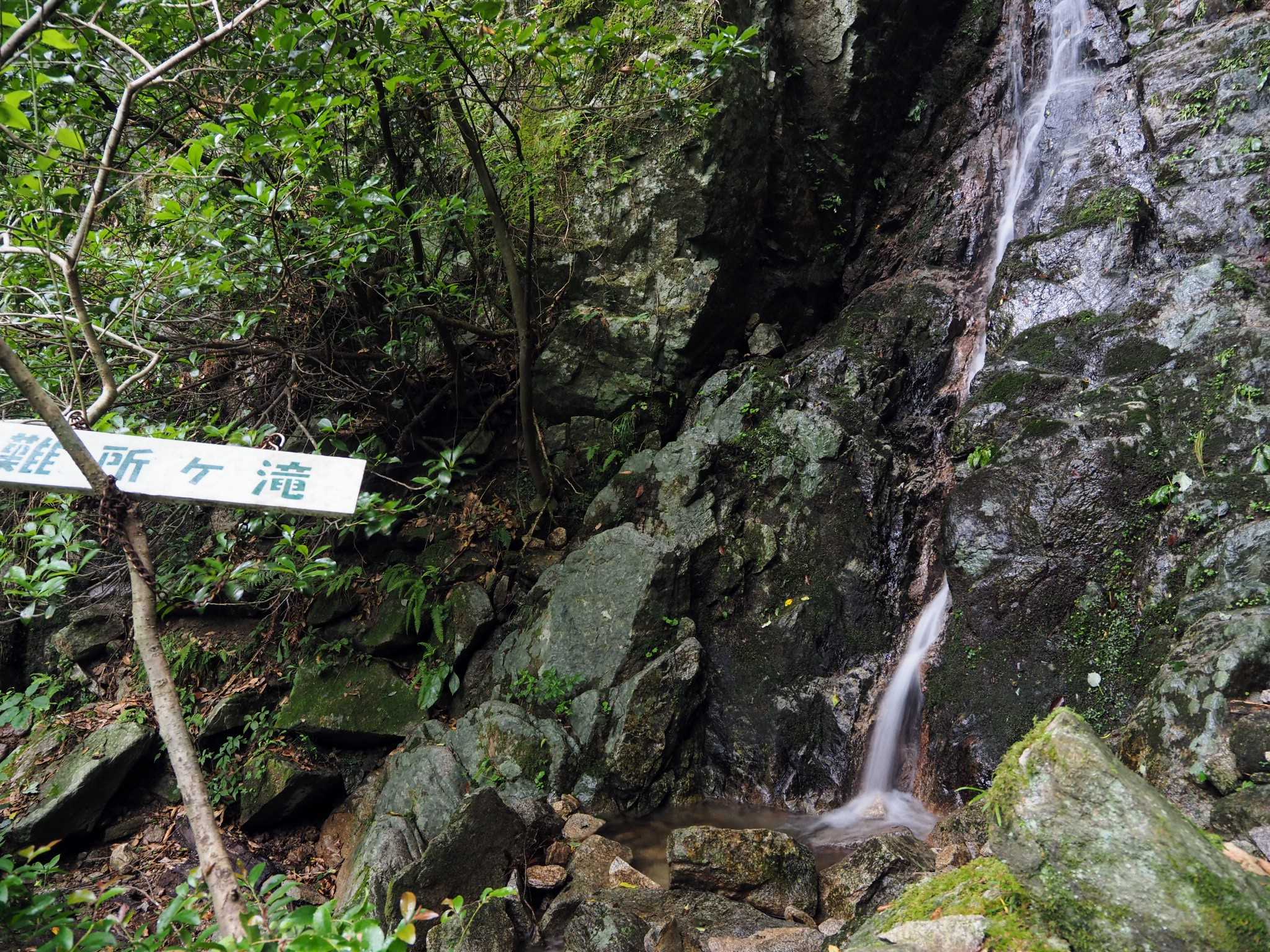 夏の難所ヶ滝 西国岩擬宝珠と岩煙草開花！ | 九州の山々 - 楽天ブログ