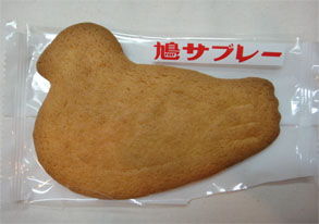鳩1.jpg