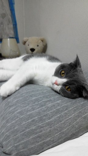 20140927105223.jpg