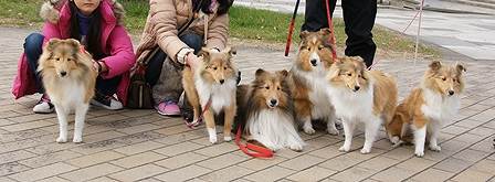 DSC06111.jpg