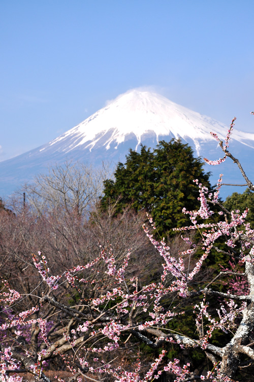 富士山２