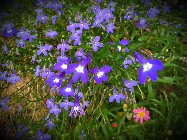 rblog-20160630184304-02.jpg