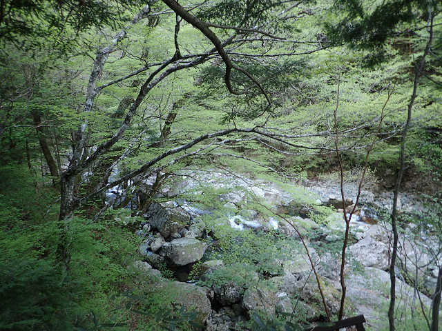 resize0018.jpg