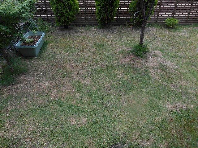 DSCN1886.JPG