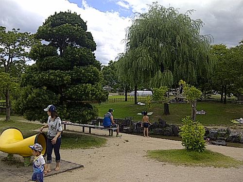 IMG-20120826-00903 (Custom).jpg