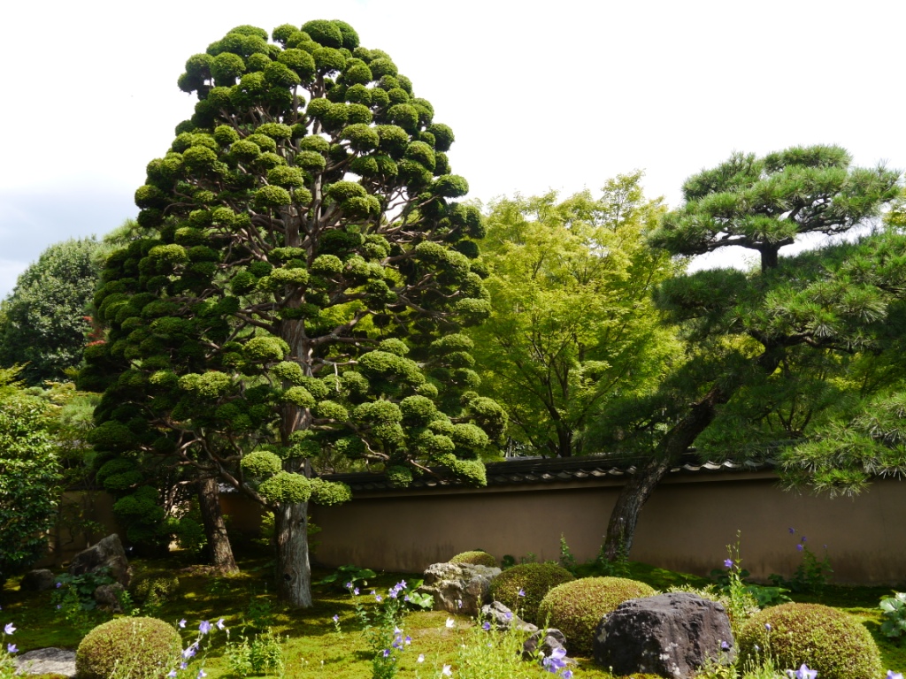 P1080175.JPG