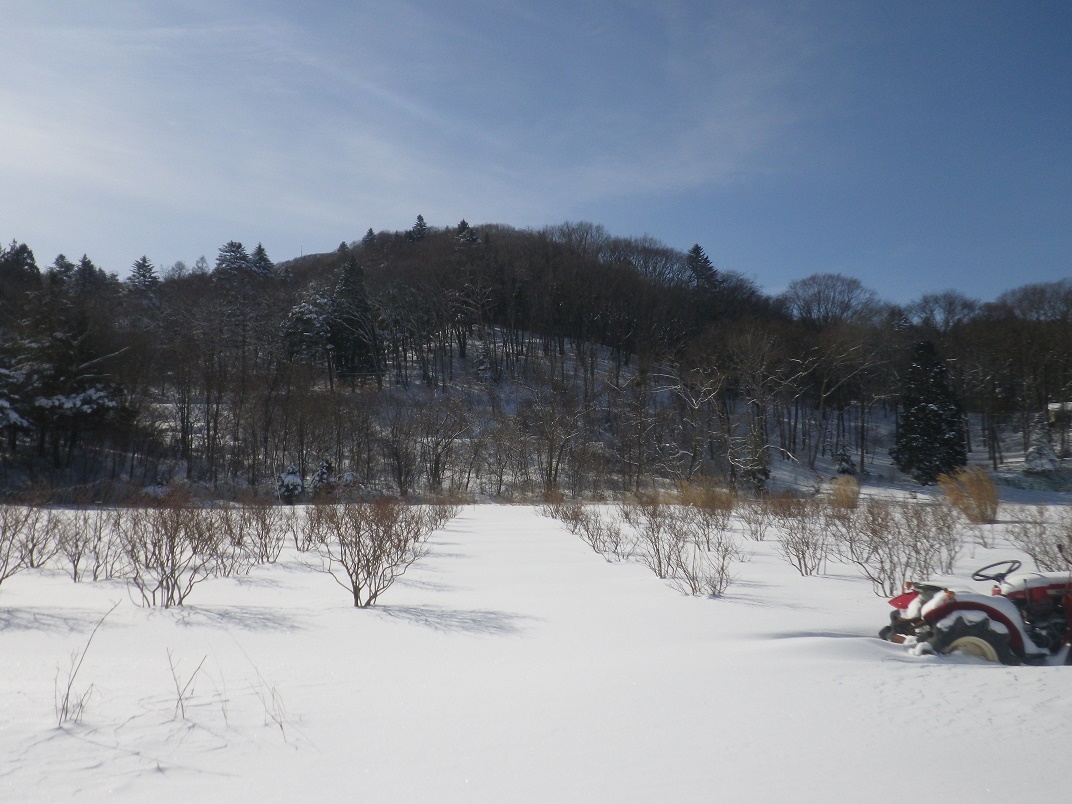 IMGP5119.jpg