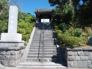 本圓寺