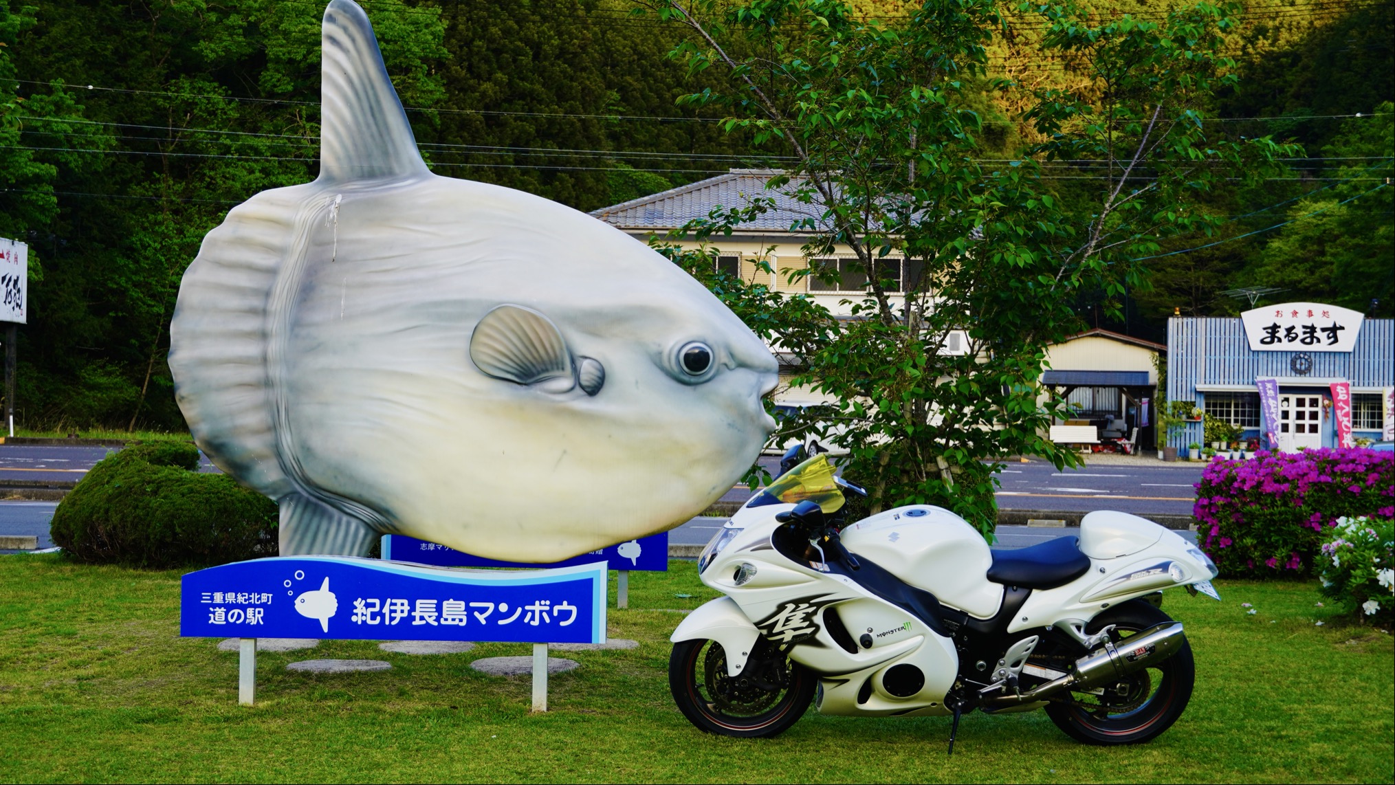 ハヤブサ × 紀伊半島 | ハヤブサに乗る日々。 - 楽天ブログ