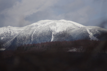 縞枯れ山160206