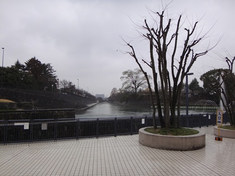 DSC00223.JPG