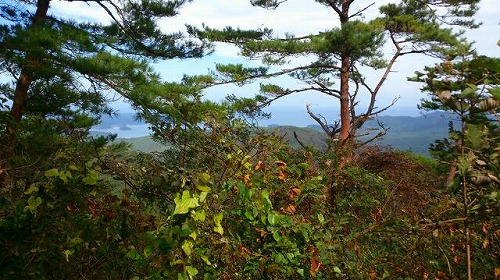 20141015翁倉山志津川湾方面.jpg