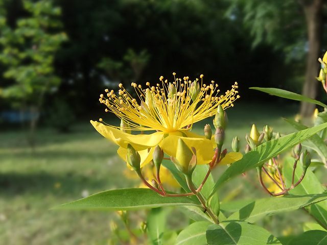 DSCF0905.jpg