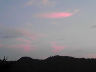 PA0_0775.JPG