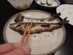 035.gif
