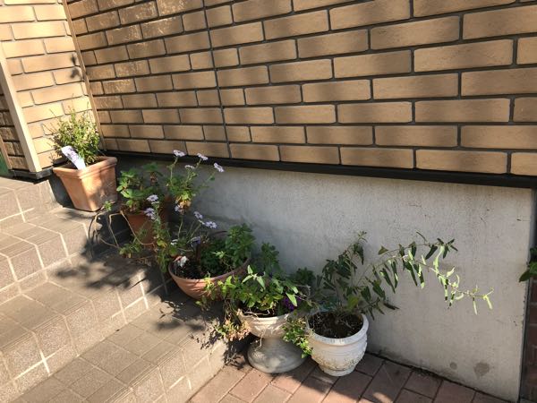 rblog-20181103151133-08.jpg