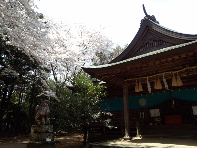 八倉姫神社2.jpg