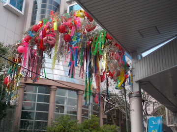 DSCN5793.jpg