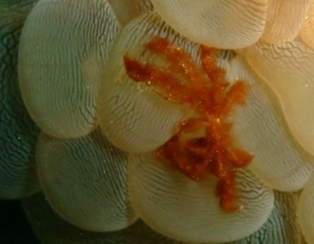 DSCF5386.JPG